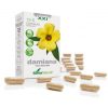 13-S Damiana Liberação Prolongada 30 Caps Soria Natural