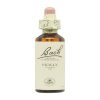 Ακέβο Λουλούδια Bach – 20ml