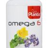 Borreja- und Nachtkerzenöl mit Vitamin E 410 Kapseln Plantis Omega-6