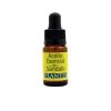 Huile Essence Genévrier (Purifiant des voies urinaires) Plantis – 10ml