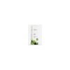 Huile essentielle alimentaire de Céleri Terpenic Evo – 10ml