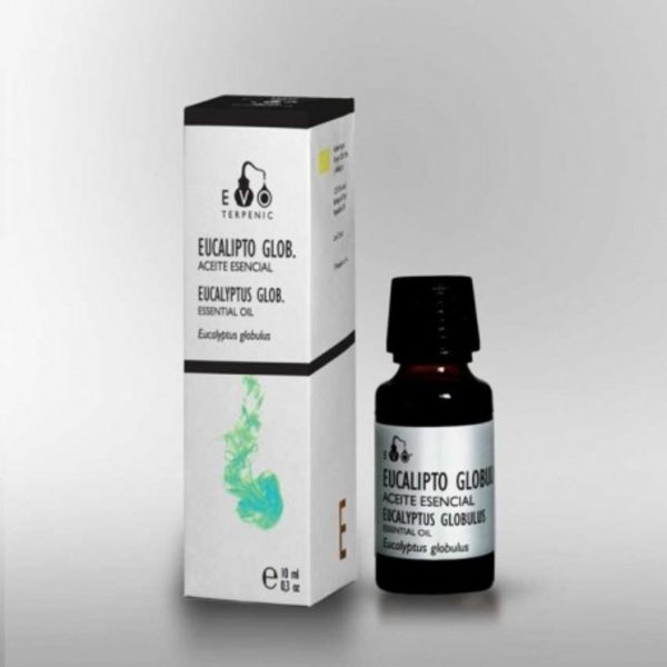 Bio-Essentialöl aus Eukalyptus Globulus Terpenic Evo – 10ml