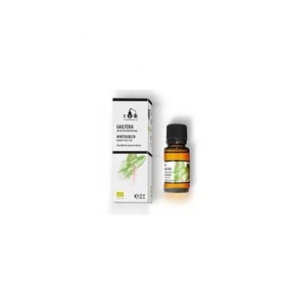 Bio-Essentialöl aus Gaulteria Wintergeen Terpenic Evo – 10ml