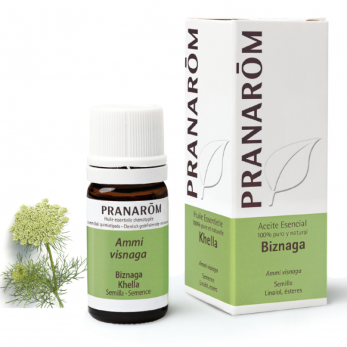 Aceite esencial de Biznaga – Pranarôm – 5ml