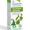 Aceite esencial eucalipto glóbulo Bio – Esential’Arôms – 100ml