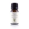 Αιθέριο Έλαιο Ravintsara – Labiatae – 12ml