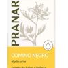 Pflanzenöl Schwarzer Kreuzkümmel Bio – Pranarôm – 50ml