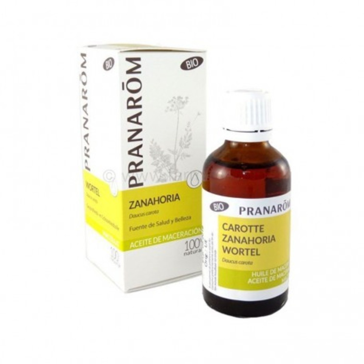 Aceite Vegetal Zanahoria Bio Pranarom – 50ml