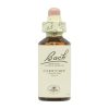 Chicorée Fleurs de Bach – 20ml