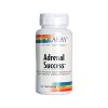 Adrenal Success 60 Plantaardige Capsules Solaray