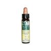 Aigremoine-1 Eco Élixir Floral (Dr. Bach) Plantis – 10ml