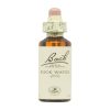 Νερό Ροκί Λουλούδια Bach – 20ml