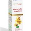 Água floral de Hamamelis – Esential’Arôms – 100ml