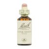 Eau Fleur de Bach 34 Violette – 20ml