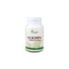 Alcachofa 100 Comprimidos 400 mg Plantapol