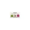Aloe Vera forte trinkbar 20 Ampullen Integralia