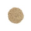 Alpiste Semillas 6 Uds Bedar – 60g