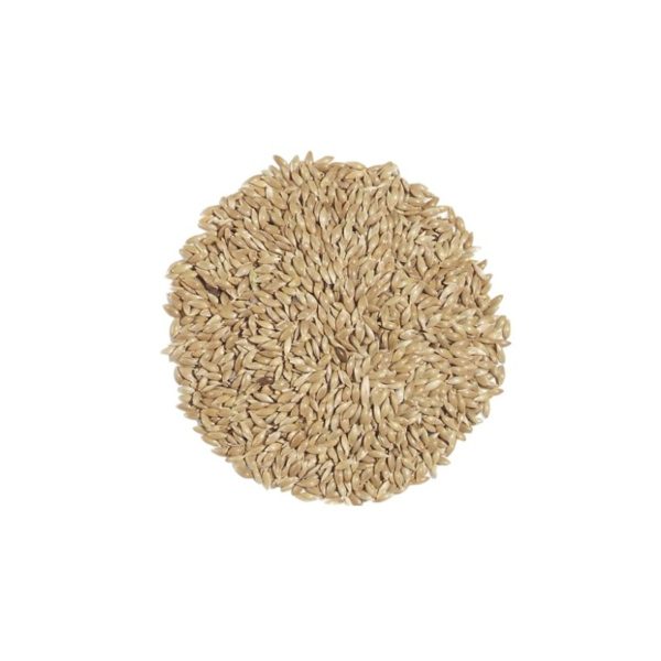 Graines de canari 6 pcs Bedar – 60g