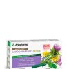 Arkopharma Arkofluido Cardo Mariano Detox 20 ampolas