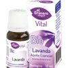 Arnika Blume Bedar – 30g