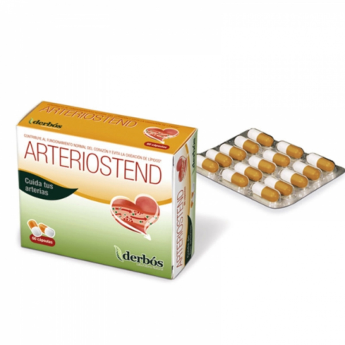 Arteriostend 60 Cápsulas Derbós