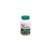 Ashwaganda Racine 450 mg 60 Capsules Herbal Actives Natures Plus