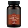 Astragalus Vlier en Knoflook Complex 100 plantaardige capsules – Terranova