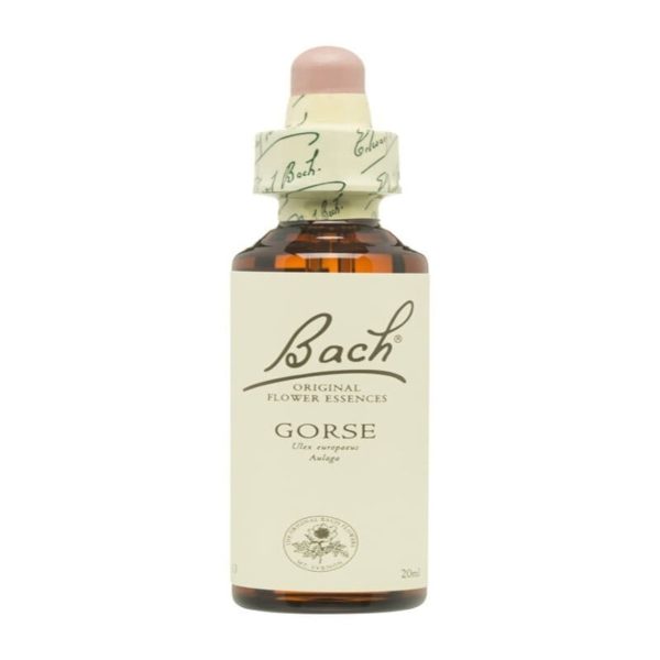 Aulaga Fleurs de Bach – 20ml