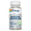 Bacillus Coagulans 60 Kapseln Solaray
