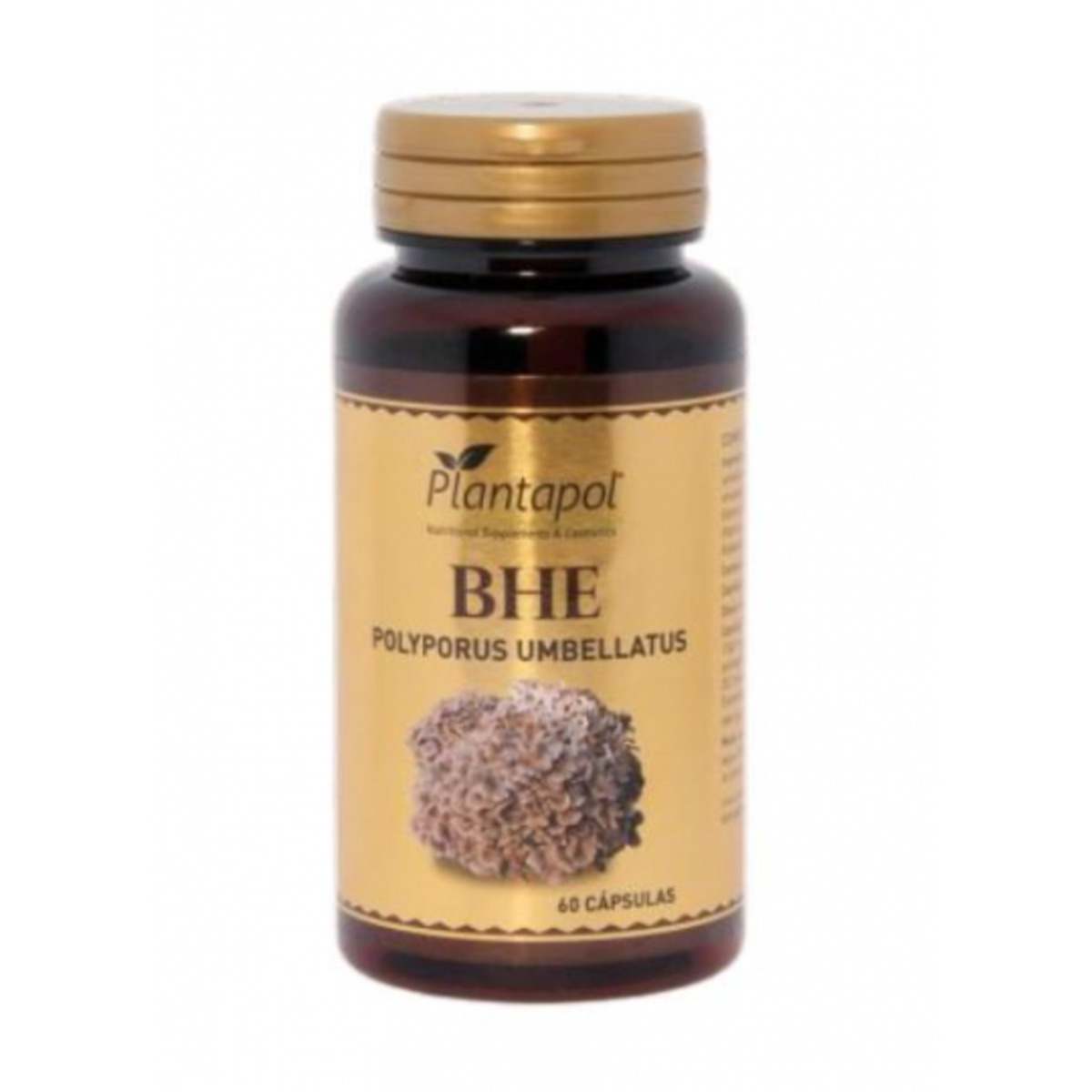 Bhe Polyporus 60 Cap Plantapol