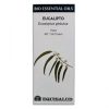 Βιολογικά Αιθέρια Eucalipto Αιθέριο Έλαιο . Equisalud – 10ml