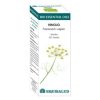Bio Essential Oils Hinojo Αιθέριο Έλαιο . Equisalud – 10ml