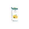Bio Essential Oils Limón Αιθέριο Έλαιο . Equisalud – 10ml