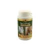 Bipole Bisiluet 80 Capsules avec Nopal Intersa