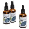 Boldo zonder Alcohol Ambachtelijke Landbouw – 50ml