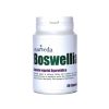 Boswellia Ayurveda 60 Capsules