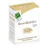 Boswellia Select 60 κάψουλες 100% Φυσικές