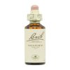Bruyère 14 Fleurs de Bach – 20ml