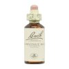 Bourgeon de Châtaignier Fleurs de Bach – 20ml