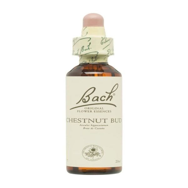Bourgeon de Châtaignier Fleurs de Bach – 20ml