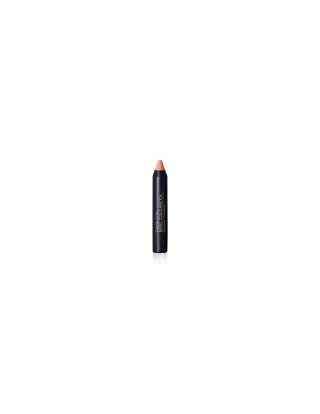Camaleon Basic Colour Metallico Arenacamaleon
