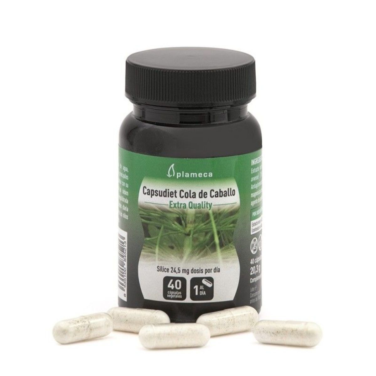 Capsudiet Cola de caballo 40 cápsulas vegetales- Plameca