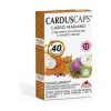 Cardo 60 Cápsulas Intersa