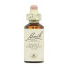 Châtaignier Doux Fleurs de Bach – 20ml