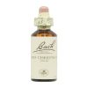 Châtaignier Rouge Fleurs de Bach – 20ml