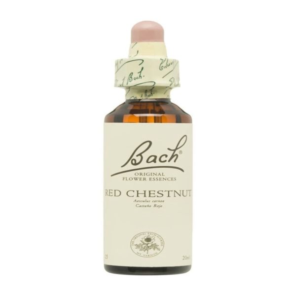 Châtaignier Rouge Fleurs de Bach – 20ml