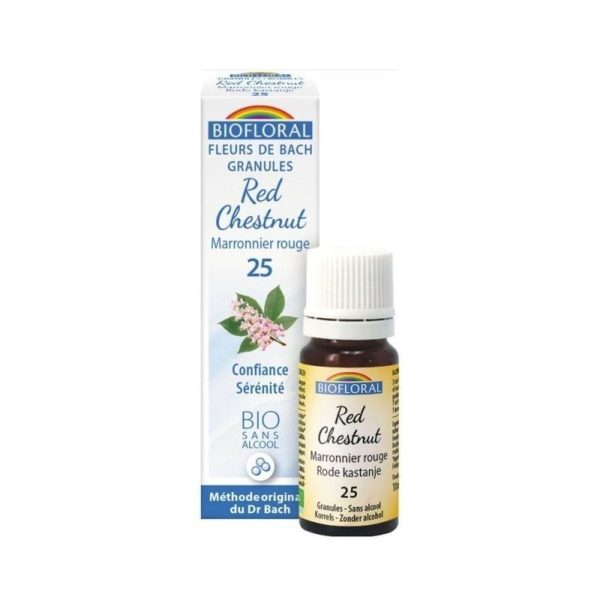 Châtaignier Rouge – Biofloral Confiance et Sécurité Fleurs de Bach