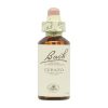 Cerato 05 Λουλούδια Bach – 20ml