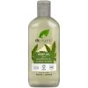Shampooing & Après-shampooing de chanvre – Dr. Organic – 265ml