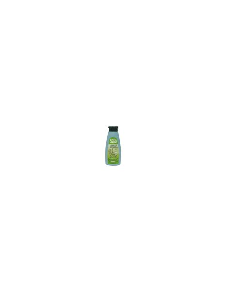 Shampooing Antigras avec Romarin ligne Verte – 400ml